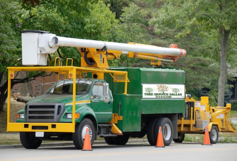 {SERVICE_NAME} project in Carrollton