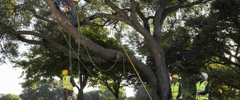 {SERVICE_NAME} project in Carrollton