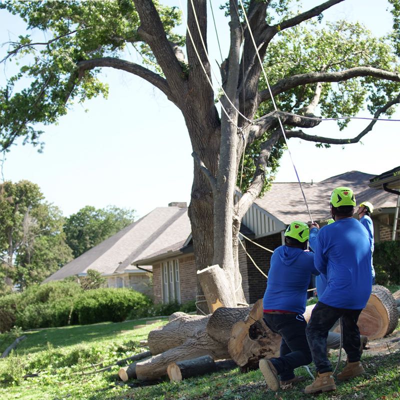 {SERVICE_NAME} project in Carrollton